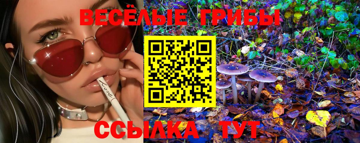 Псилоцибиновые грибы мицелий  Вход с VPN  Тында 
